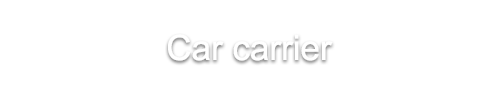 woodchip carrier
